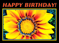 Greeting Card Images