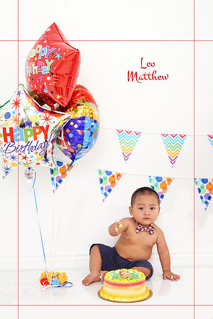 By-Roxanne-Morganti-Leo-1yr-DSC09465RetRed