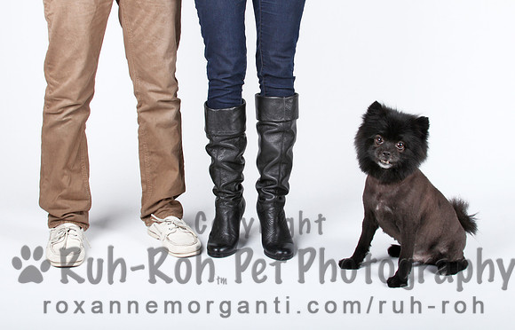 Ruh-Roh Pet Photography